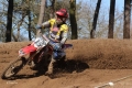 IMG_0372_1024x683