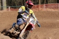 IMG_0413_1024x683