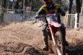 IMG_0493_1024x683
