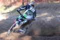 IMG_0510_1024x683