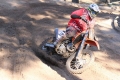 IMG_0625_1024x683