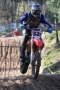 IMG_0658_512x768