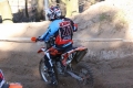 IMG_0662_1024x683