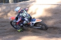 IMG_0667_1024x683