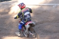 IMG_0668_1024x683