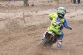 IMG_0048_1024x683