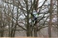 IMG_0259_1024x683