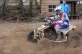 IMG_0340_1024x683