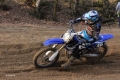 IMG_0381_1024x683