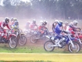 ccjunioren10