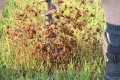 20180515_ (18)