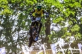 MAC-2023-zaterdag-42-Middel