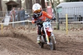 IMG_2578_1024x683