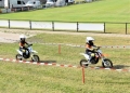 DSC0387-Middel