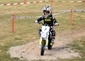 DSC0434-Middel