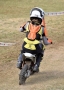 DSC0445-Middel