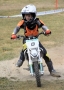 DSC0454-Middel