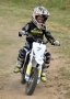 DSC0469-Middel