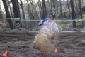 IMG_0177_1024x683