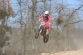 IMG_0011_1024x683
