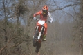 IMG_0015_1024x683