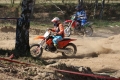 IMG_0071_1024x683