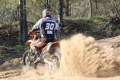 IMG_0172_1024x683