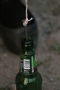 IMG_9766_400x600