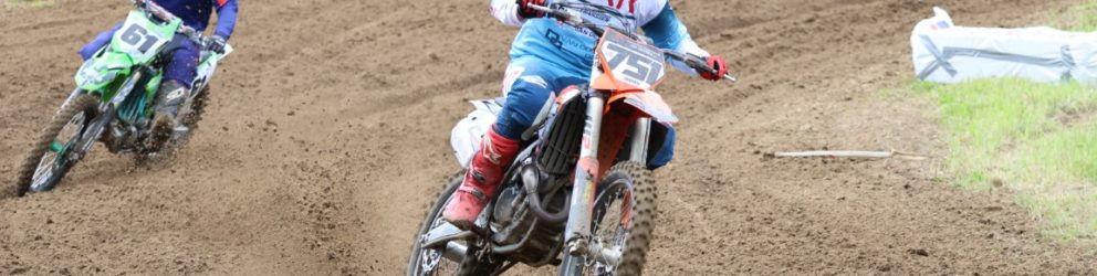 IMG_6958 (Middel)